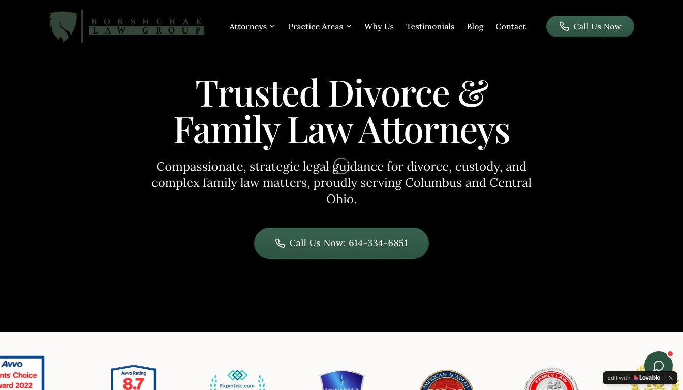 Preview of the Borshchak Law Group website