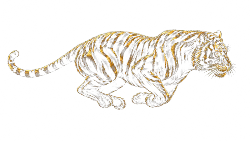 Running tiger